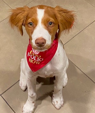 Polio-Plus-Kennel-Club-mollie-320x380-1